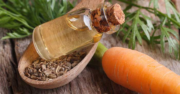 havuç yağının faydaları